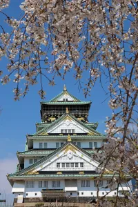 Tree: Osaka Castle seen through cherry blossom trees in Osaka, Japan