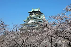 Osaka Castle seen through cherry blossom trees in Osaka, Japan