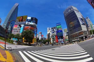 Crossing: The pedestrian crossing at the intersection in Shibuya, Tokyo, Japan