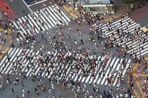 Crossing: People crossing the pedestrian crossing at the intersection in Shibuya, Tokyo, Japan