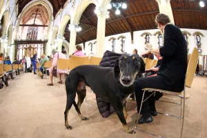 Pet Blessing Service for World Animal Day, St. Martins Church, Kensal Green, London