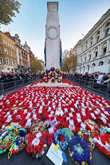 Poppies at the Cenotaph, 100th anniversary of the World War I Armistice, Whitehall