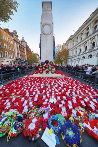 World: Poppies at the Cenotaph, 100th anniversary of the World War I Armistice, Whitehall