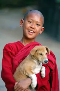 Mandalay, Myanmar: Portrait of a young Buddhist monk playing with a pet dog at a temple in Amarapura
