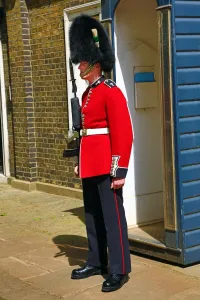 Guardsmen: Queens Guard wearing busby guarding St James Palace, London, England