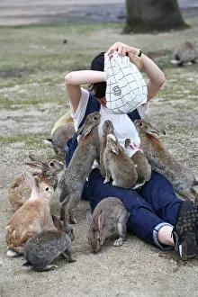Tourist: Rabbits on Okunoshima Island