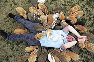 Tourist: Rabbits on Okunoshima Island