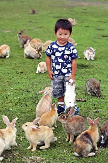 Tourist: Rabbits on Okunoshima Island