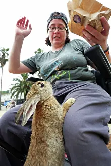 Tourist: Rabbits on Okunoshima Island