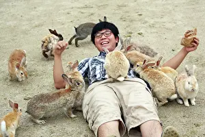 Tourist: Rabbits on Okunoshima Island
