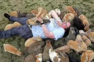 Tourist: Rabbits on Okunoshima Island