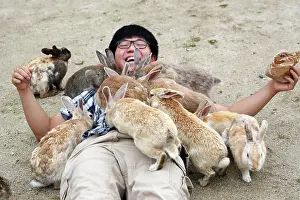 Tourist: Rabbits on Okunoshima Island
