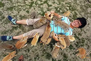 Tourist: Rabbits on Okunoshima Island