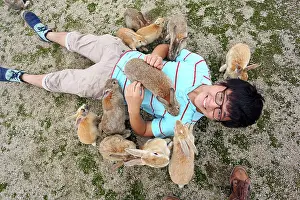 Tourist: Rabbits on Okunoshima Island