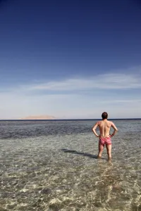 Vacation: Rear view of a man on summer holiday standing in the sea on the beach