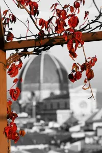Seasons: Red autumn leaves and the Duomo, Santa Maria del Fiore, Florence, Italy, spot colour