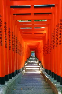Tokyo, Japan: Red Torii Gate tunnel at the Hie-Jinja Shinto Shrine, Tokyo, Japan
