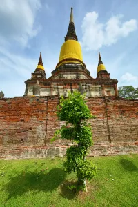 Architecture: Ruins of the chedi at Wat Yai Chaimongkol Temple, Ayutthaya, Thailand