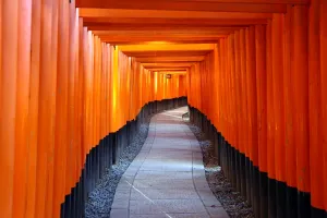 Path: Senbon Torii, tunnels of red torii gates, at Fushimi Inari Shinto shrine in Kyoto, Japan