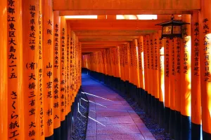Senbon Torii, tunnels of red torii gates, at Fushimi Inari Shinto shrine in Kyoto, Japan