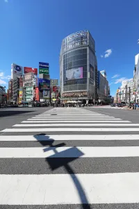 Architecture: Empty Shibuya pedestrian crossing in Shibuya with shadow, Tokyo, Japan