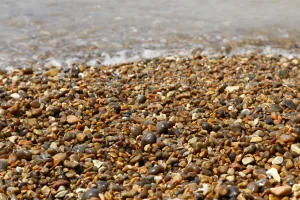 Back Ground: Shingle on the beach