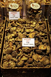 Rabbits Of Okunoshima Island: Shitake mushrooms on a vegetable stall at La Boqueria market de St Josep, Barcelona, Spain