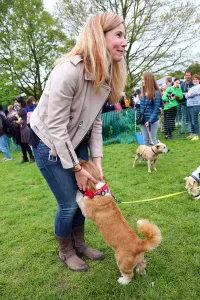 Stars turn out for the All Dogs Matter Great Hampstead Bark Off dog show, Hampstead Heath