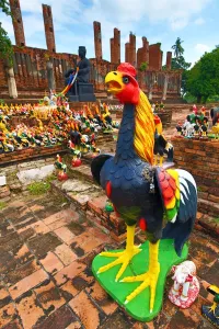 Editor's Picks: Temple of a Thousand Roosters, Wat Thammikarat, Ayutthaya, Thailand - 7 Jul 2017