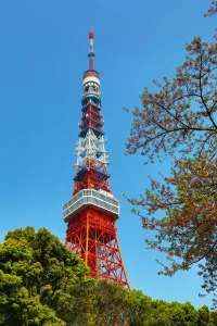 Flying: The Tokyo Tower, Tokyo, Japan