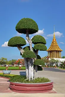 Ancient: Topiary at Muang Boran, The Ancient City