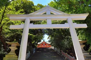 Tokyo, Japan: Torii Gate at the Hie-Jinja Shrine, Tokyo, Japan