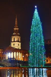Saint: Trafalgar Square Christmas Tree, Trafalgar Square, London