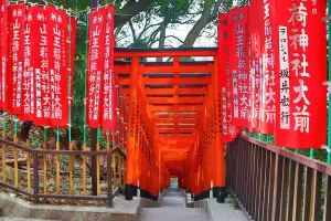 Temple: Tunnel of red Torii gates at the Hie Shrine in Asakasa, Tokyo, Japan