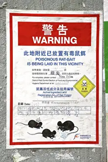 Animals: Warning poster for poisonous rat-bait protecting against rats in Kowloon, Hong Kong, China