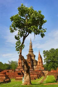 Ruins: Wat Mahathat temple, Sukhotai, Thailand