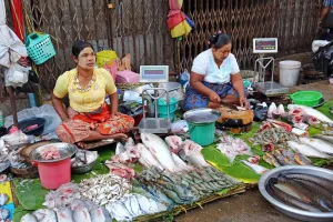 Stalls: Women selling fish in a street market, Yangon, Myanmar