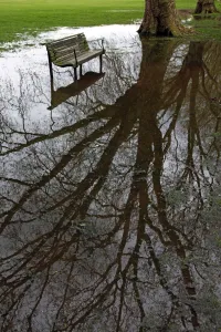Pools: Empty wooden bench in flooded park with reflection in water