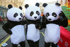 Year of the Dog Chinese New Year Parade in London